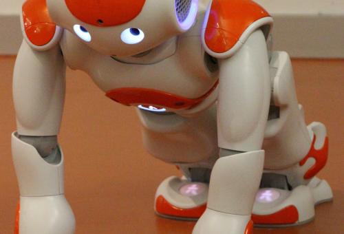NAO in action: Yoga exercises