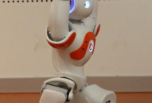 NAO in action: Yoga exercises