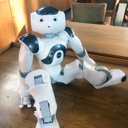 Robots in Residence - Projektpräsentation im Hygienemuseum Dresden
