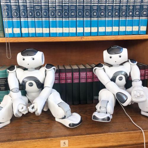 Robots in Residence - Projektpräsentation im Hygienemuseum Dresden
